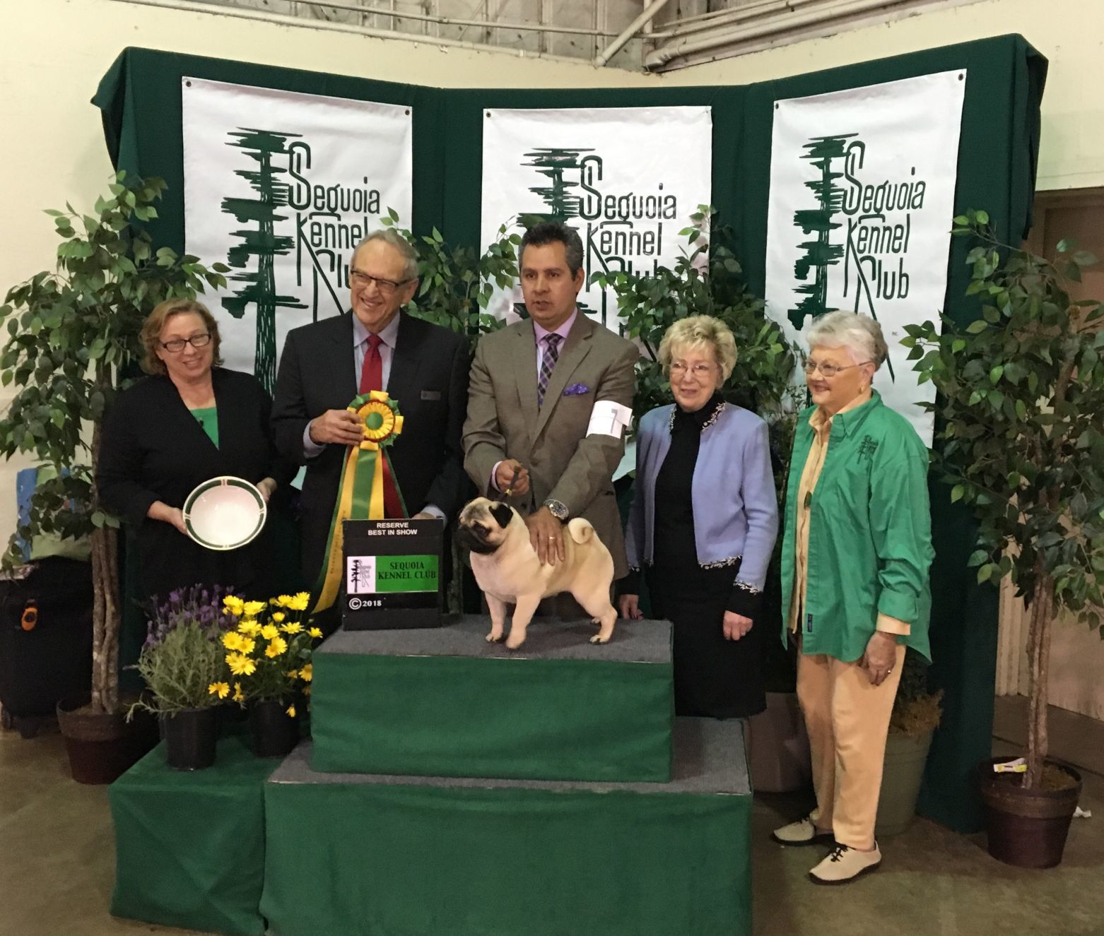 Dog Show - Skittle the Pug, Runner-Up